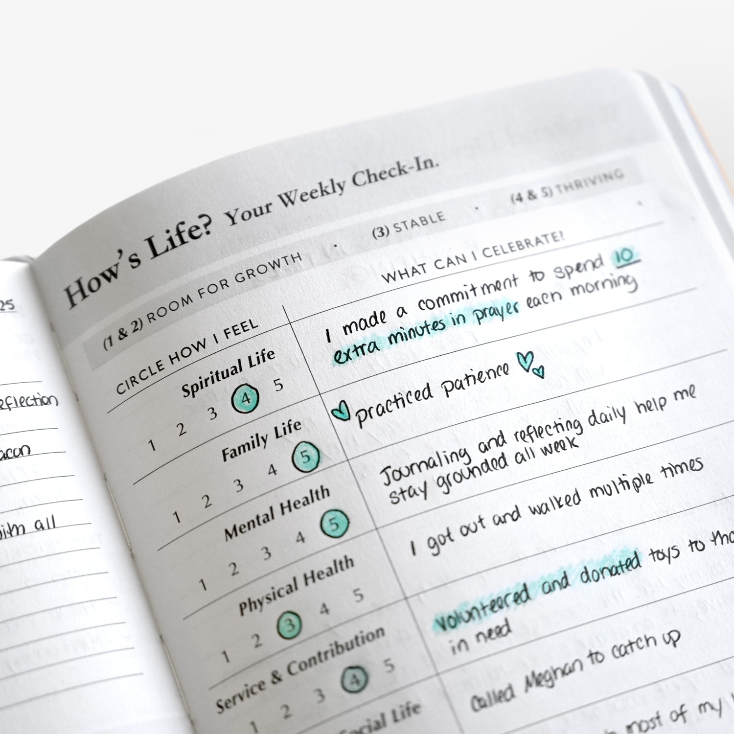 Life Planner | 6 Month Undated