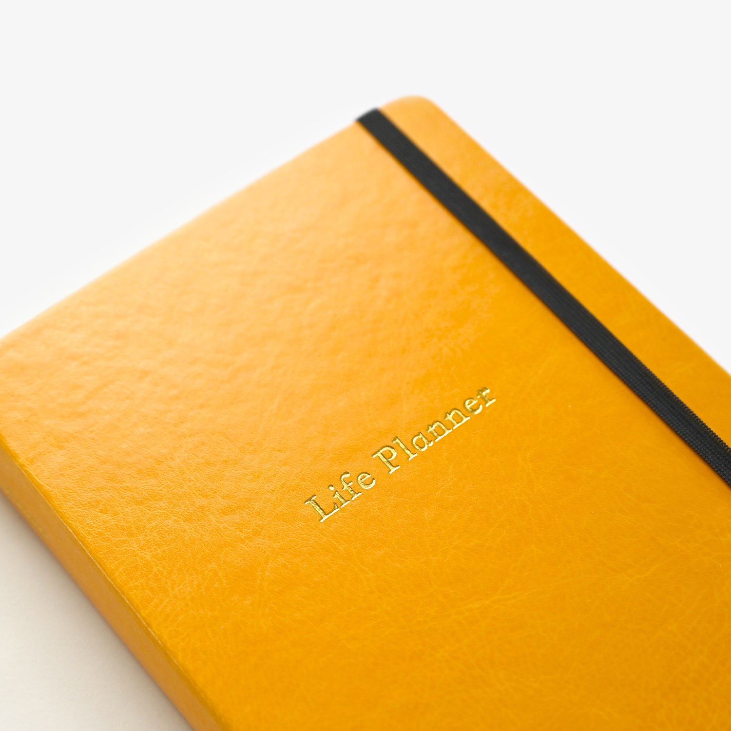 Life Planner | 6 Month Undated