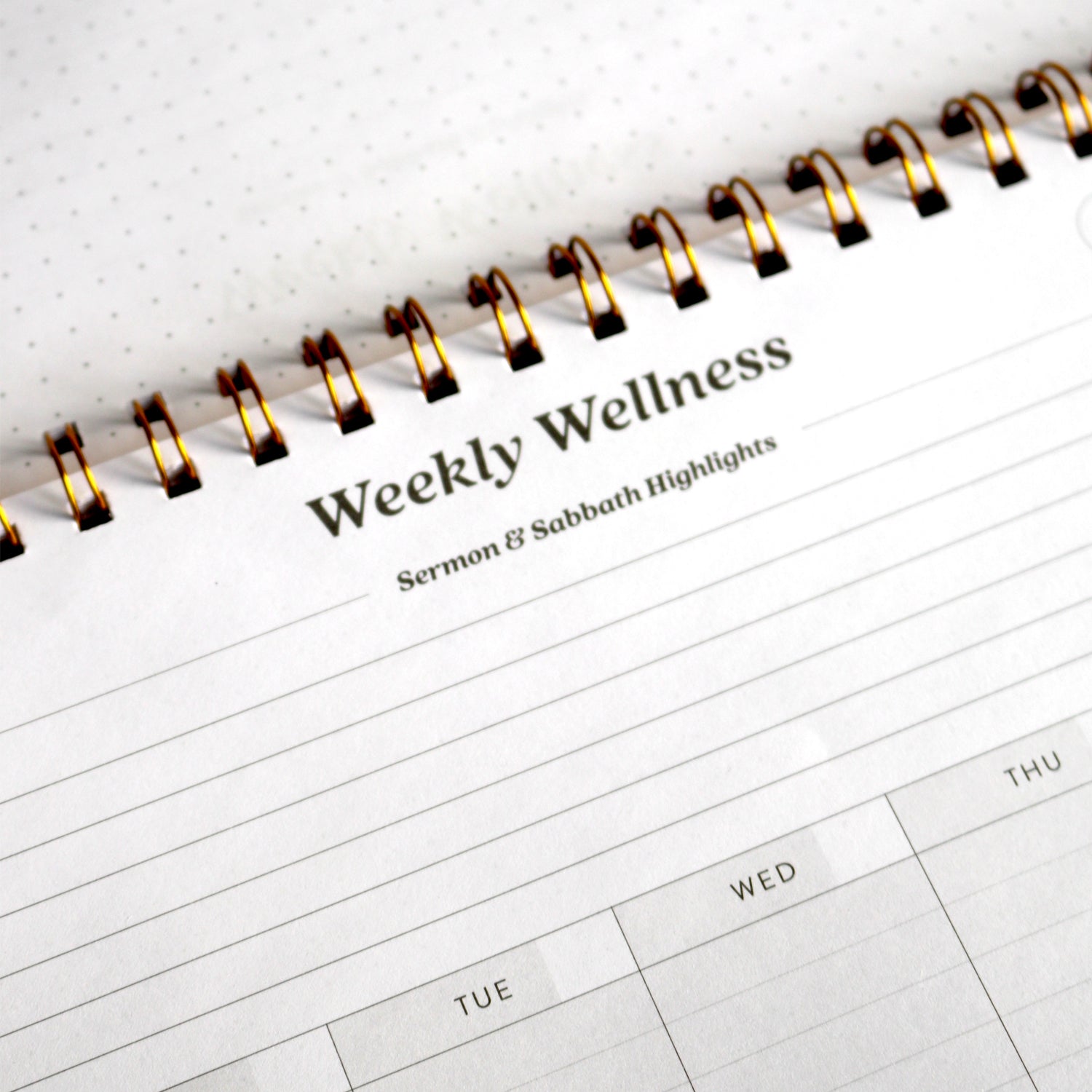 Weekly Wellness Dashboard