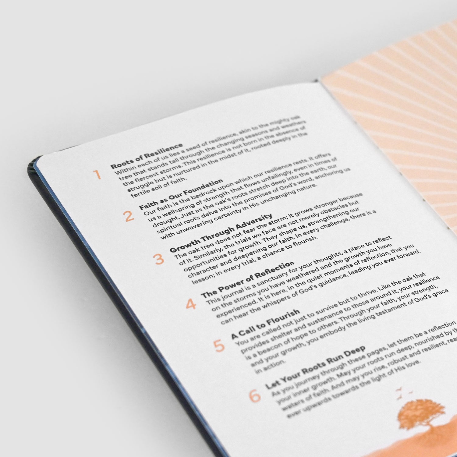 Resilience Journal - Product Image 009.jpg