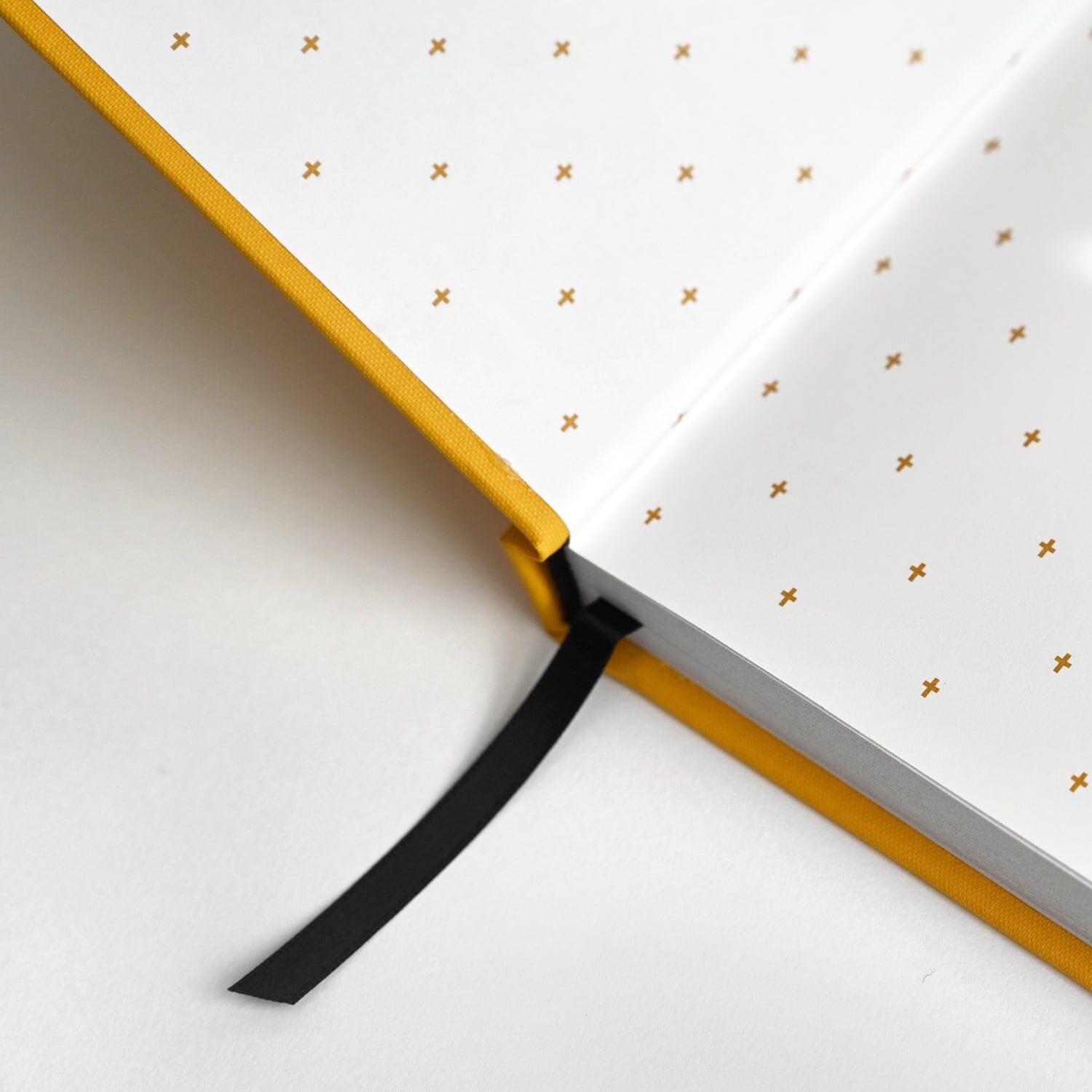 Daily Prayer Journal