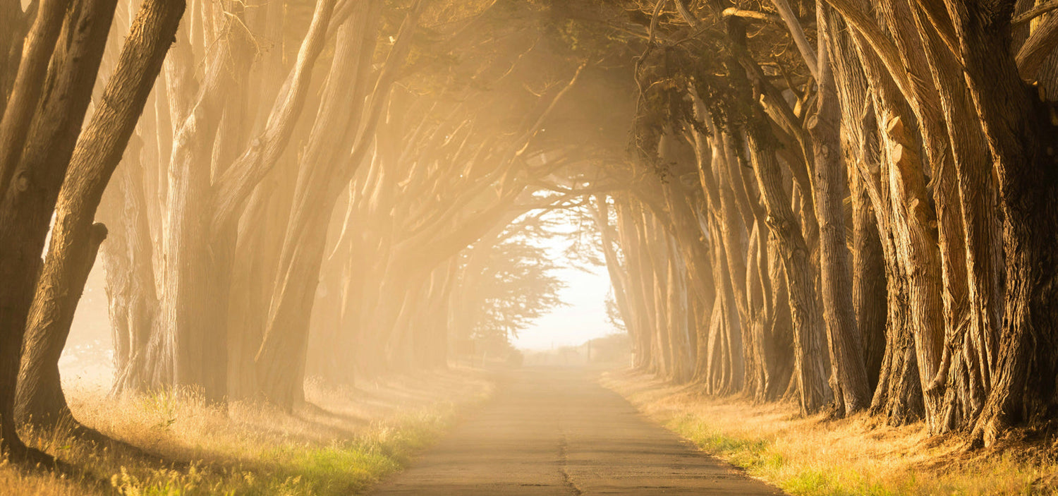 Where Do You Find Quiet in a Noisy World?