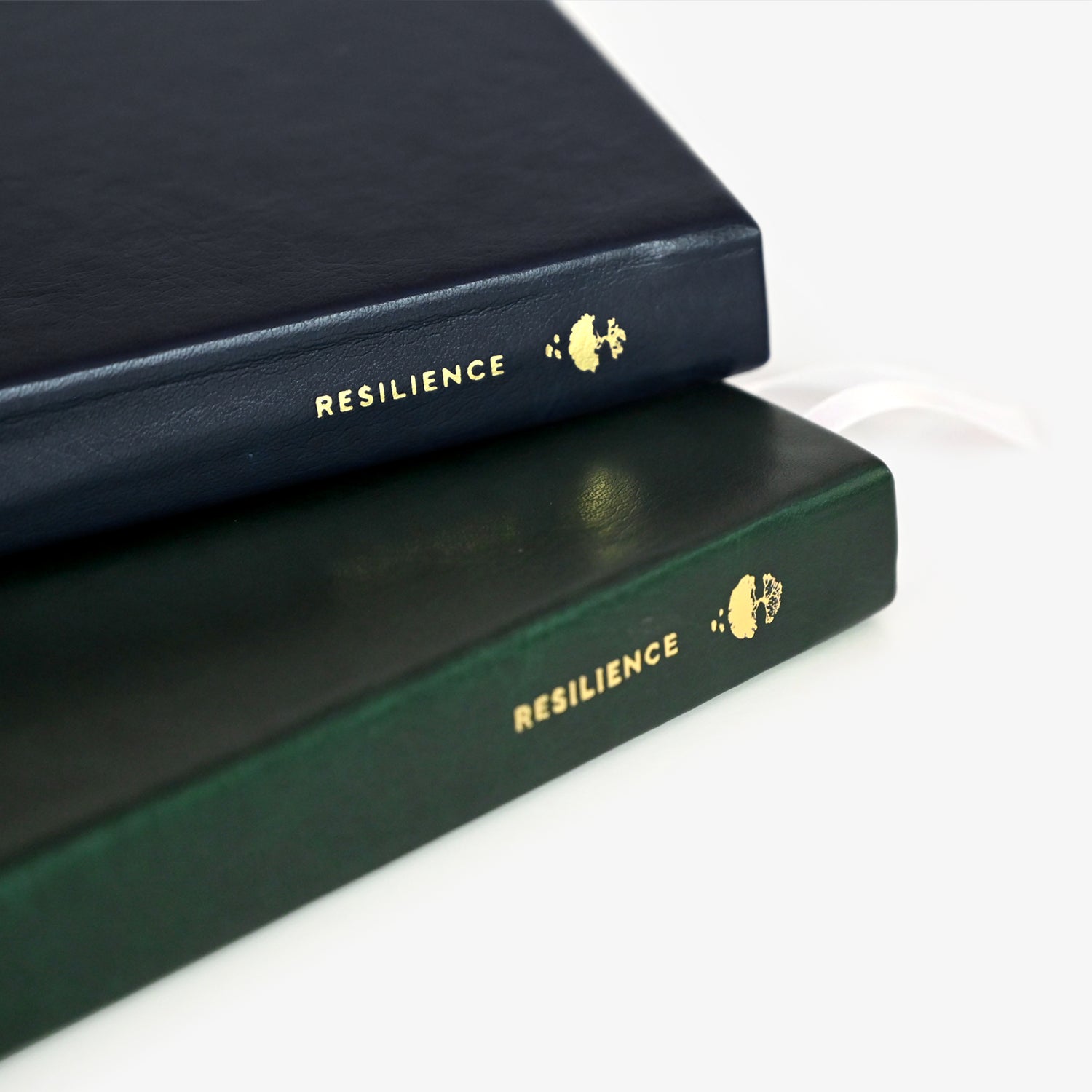 Resilience Journal - Product Image 011.jpg